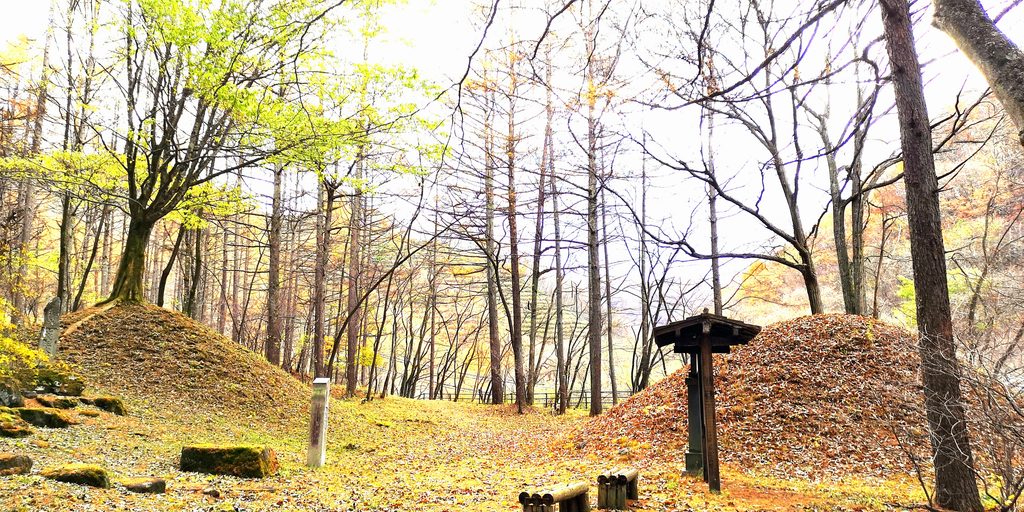 江戸時代より2基残っている貴重な中山道唐沢一里塚